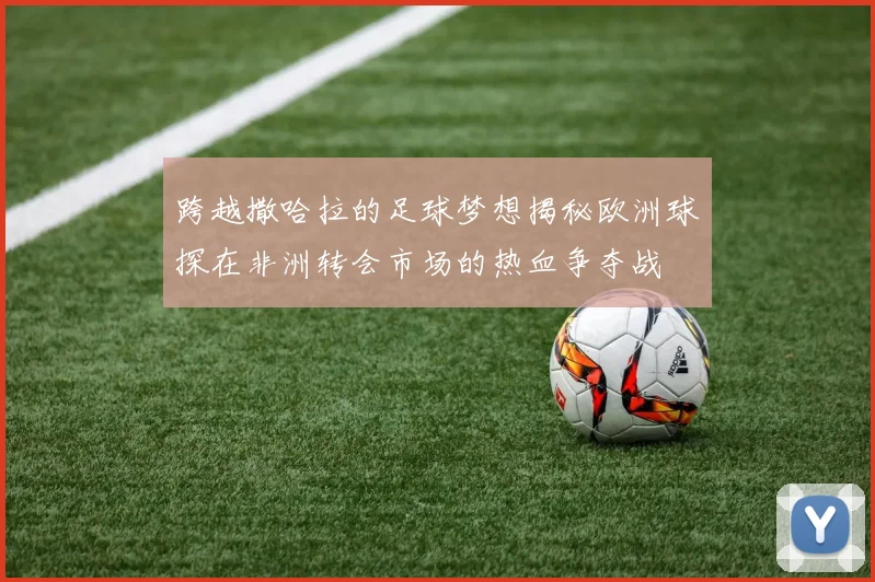 跨越撒哈拉的足球梦想揭秘欧洲球探在非洲转会市场的热血争夺战